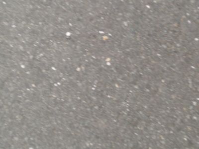 &Uuml;bung Technische Hilfeleistung - Foto 22